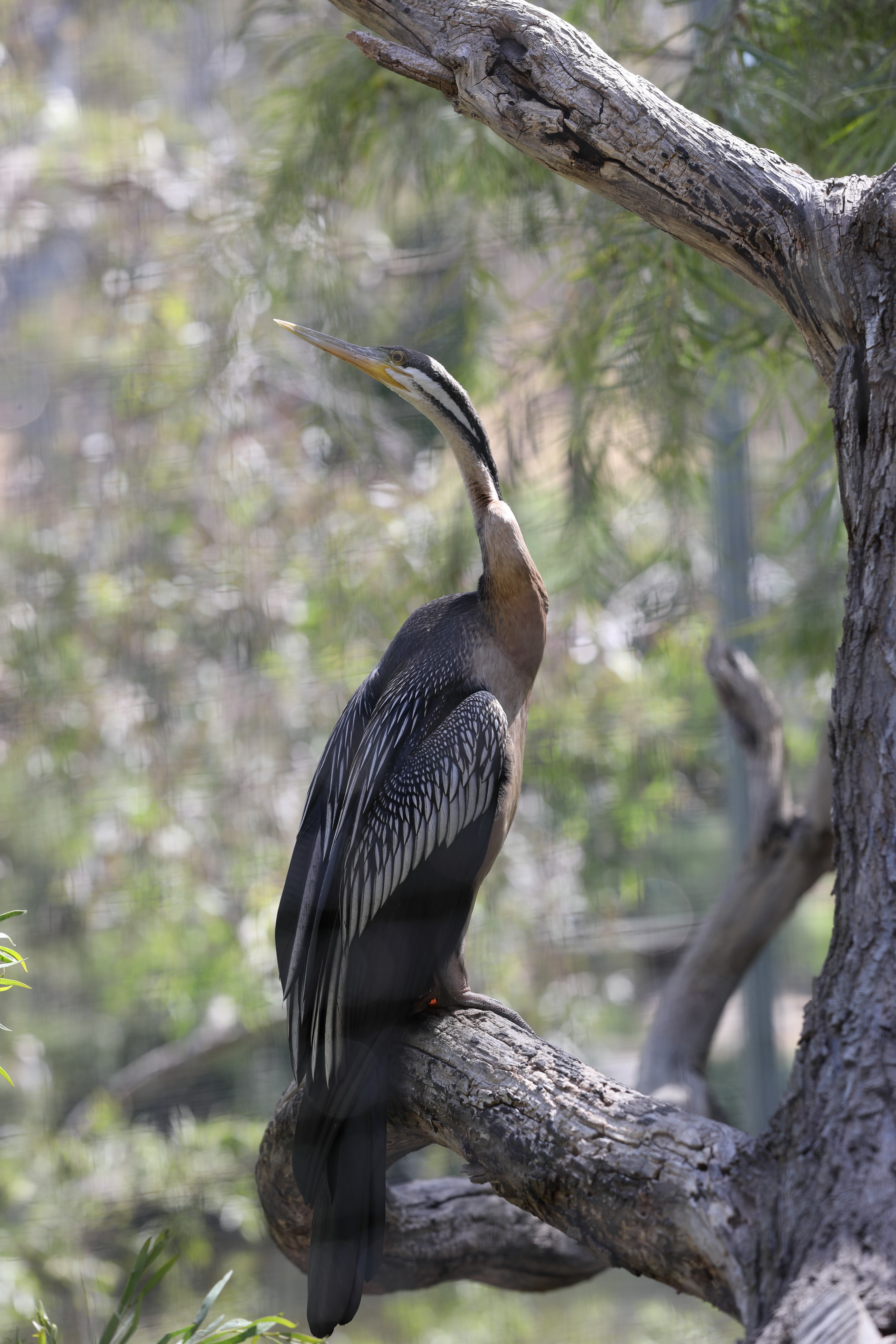 2019 11 22 15 36 39 Canon EOS 5D Mark IV 0022